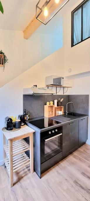 Le Duplex Catherine - Metro - Gare - Wifi Тулуза Екстериор снимка
