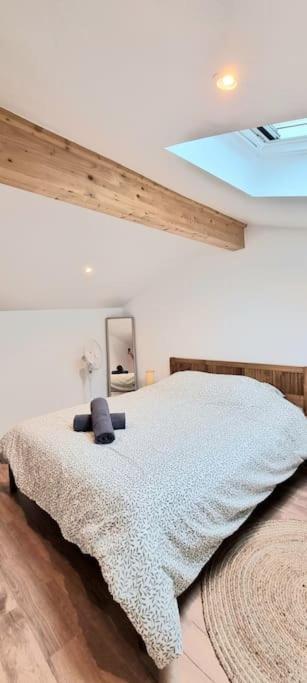 Le Duplex Catherine - Metro - Gare - Wifi Тулуза Екстериор снимка