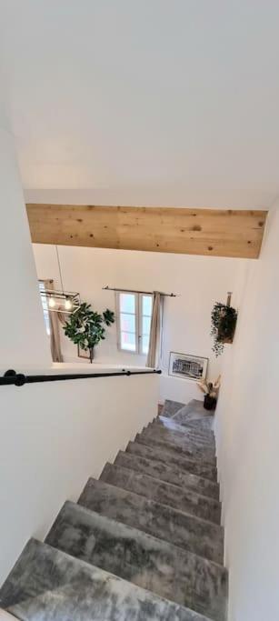 Le Duplex Catherine - Metro - Gare - Wifi Тулуза Екстериор снимка